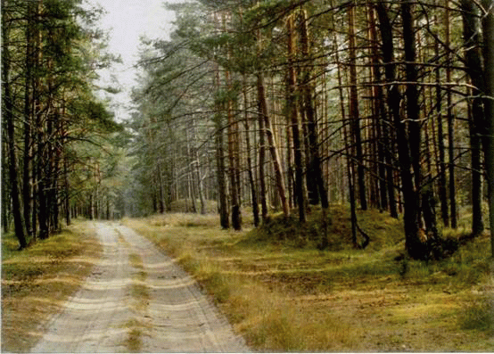 drevnie-esty-na-zapade-novgorodskoj-zemli
